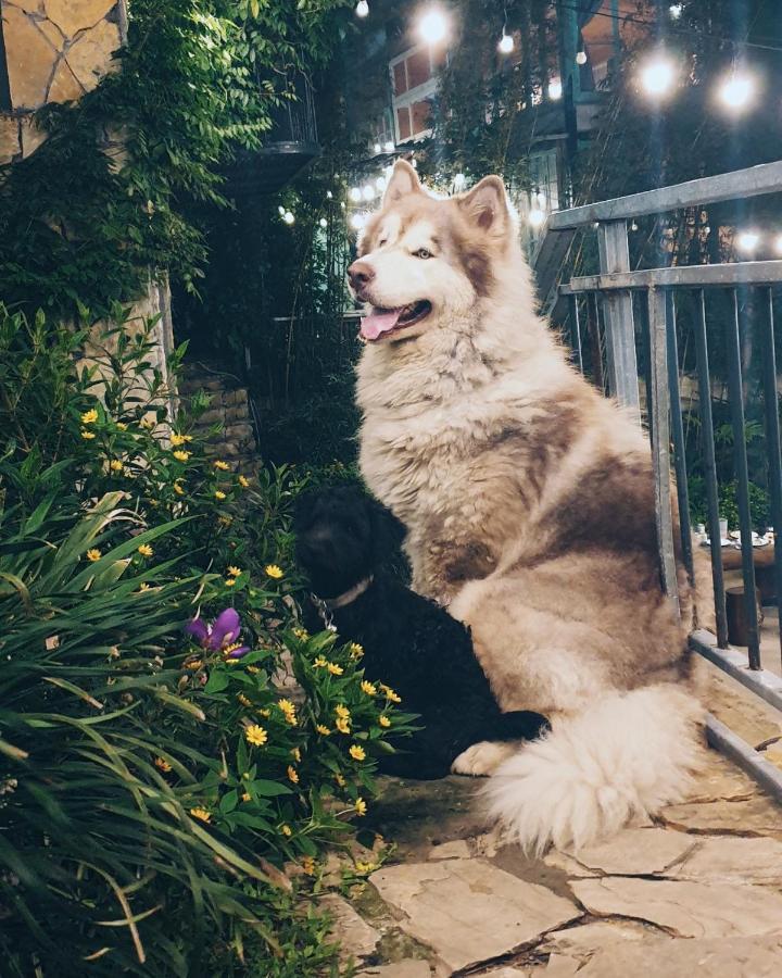 Le Vent Tam Dao Homestay 외부 사진